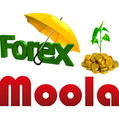 Forex Moola – reliable Forex trading software
